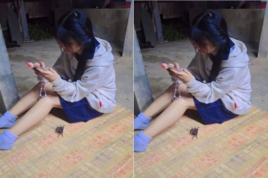 Sang nhà chơi phải rõ ràng phải có tiếng ồn ào đầy kích thích